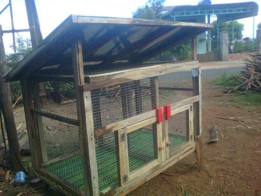 cách làm chuồng gà đá
