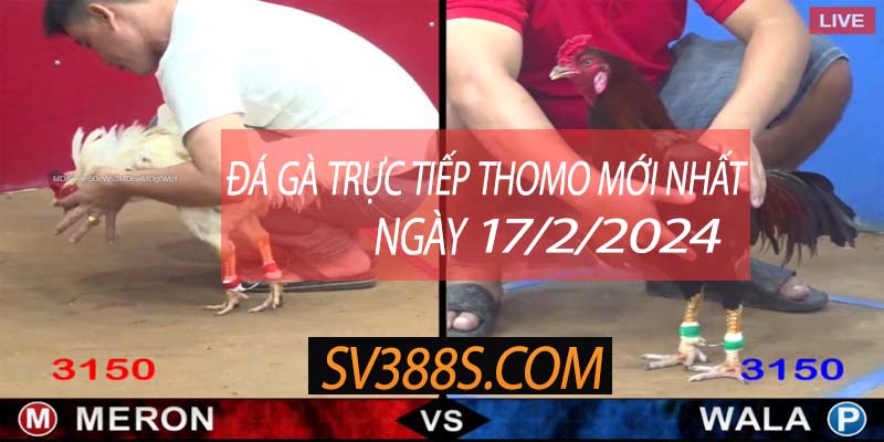 truc tiep thomo 17 2 2024